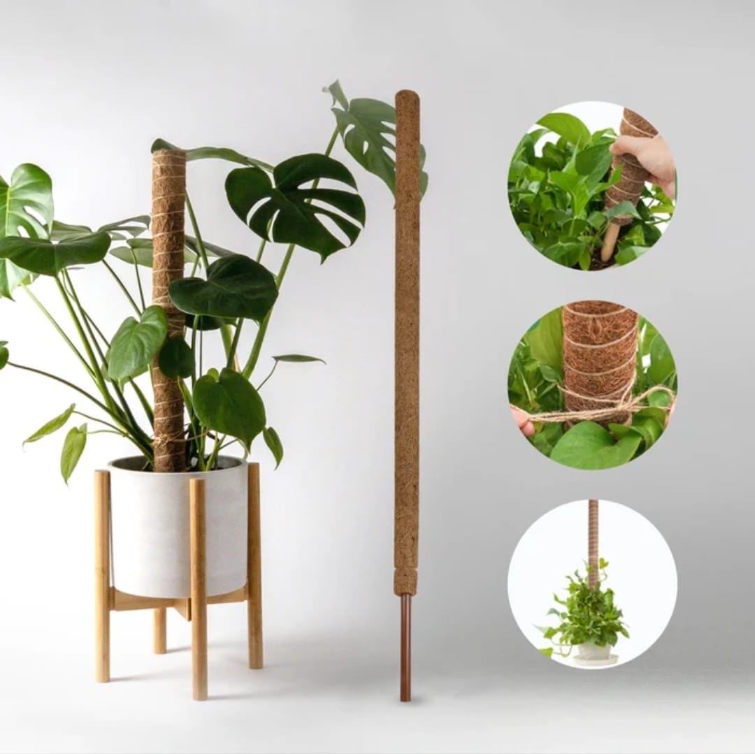 Coco Poles