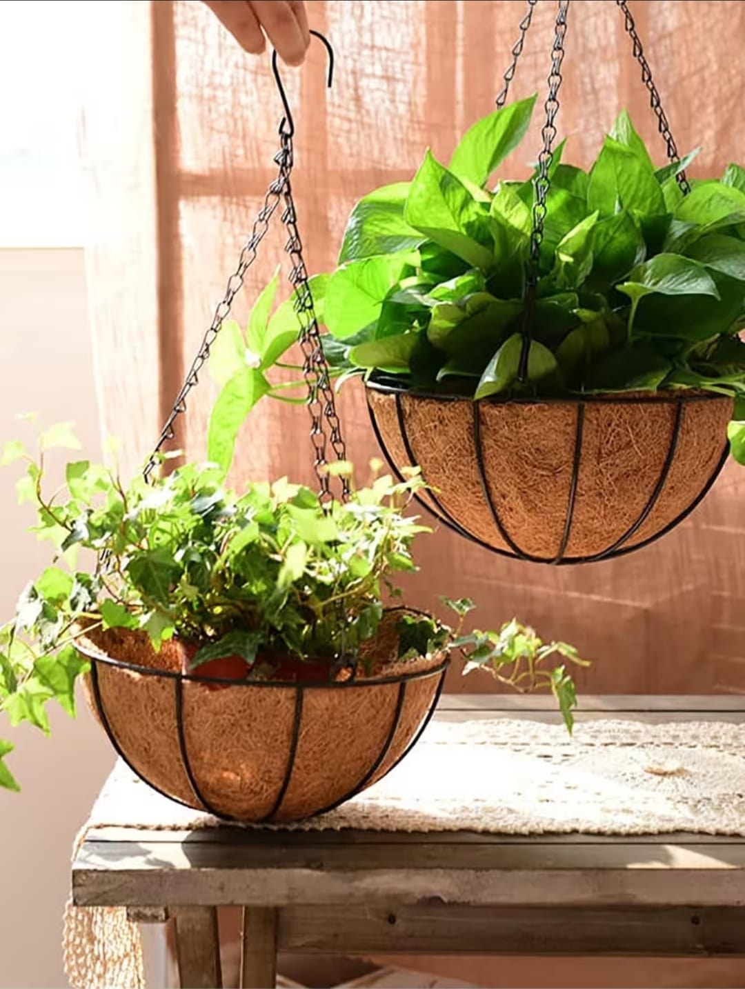 Hanging Coco Pots
